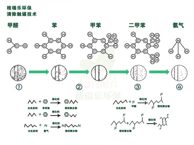 绿快异味分解酶3.0生物分解酶作用原理