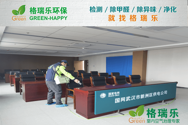 国网武汉市新洲供电公司办公区空气净化标杆项目
