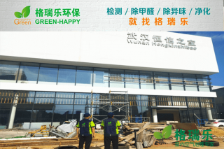 武汉恒信之宝4S店甲醛检测与治