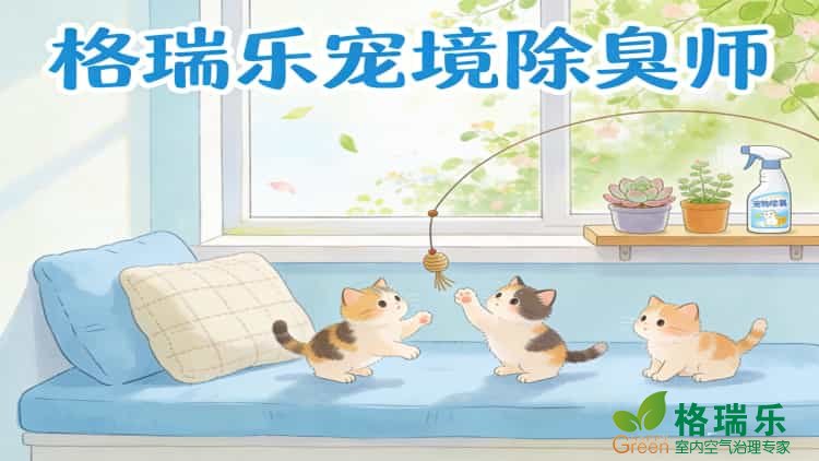 武汉养宠家庭必看！格瑞乐宠境除臭师上门，告别异味，清新到家
