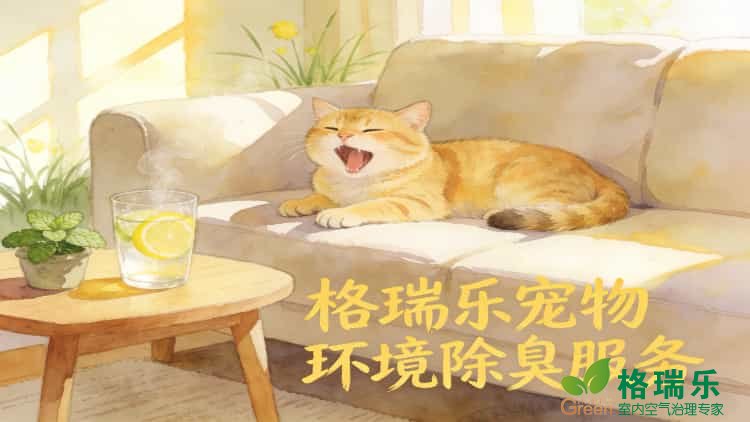 专业宠物除臭就选格瑞乐！武汉宠境除臭师上门，还你洁净家居环境