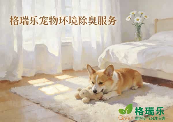 格瑞乐宠物环境除臭师服务后，如何制定有效的维护计划？