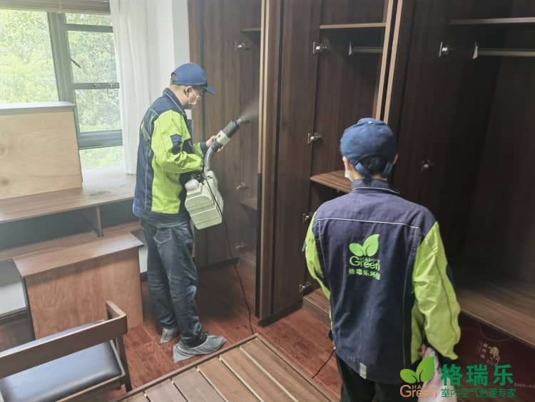 武汉专业除甲醛公司