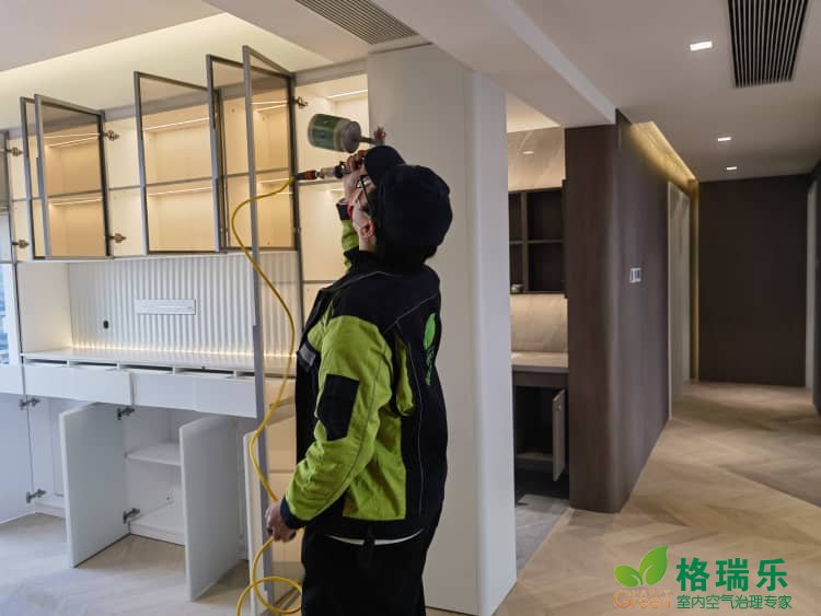 武汉专业除甲醛公司